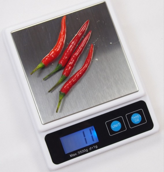 Electronic stainless steel kitchen scale