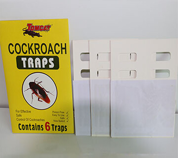 Cockroach traps
