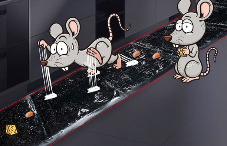 120×28cm Strong Sticky Mouse Trap Pad 120×28cm Strong Sticky Mouse Trap Pad