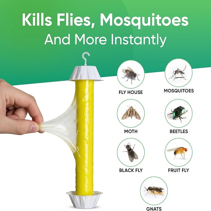 fruit fly trap stick glue fruit fly trap stick glue