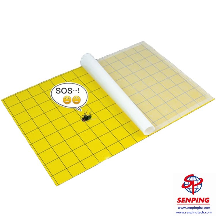 fly light glue boards