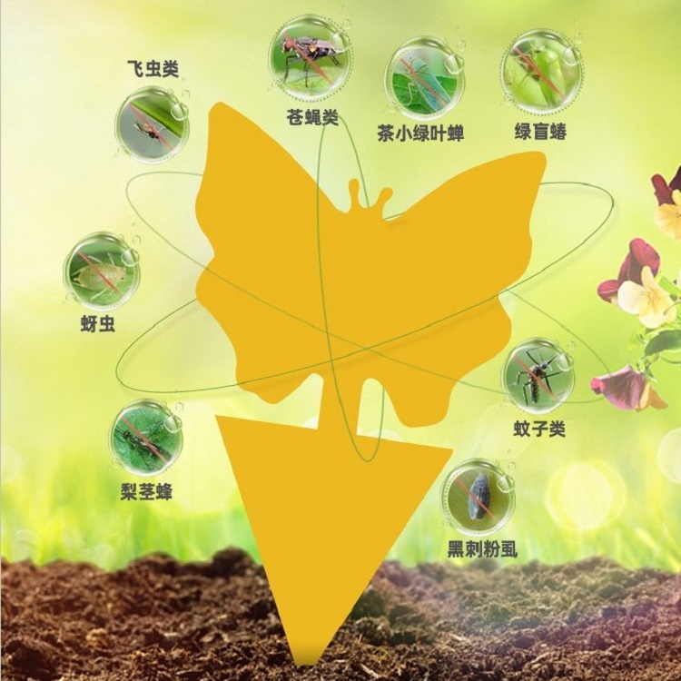yellow sticker trap useness yellow sticker trap useness