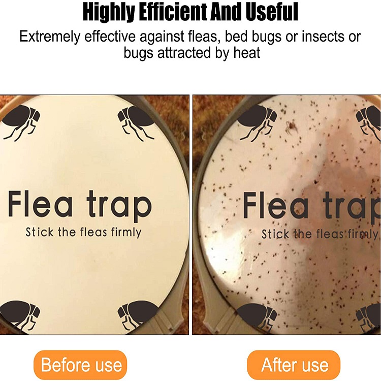 flea trap sticky pads effect flea trap sticky pads effect