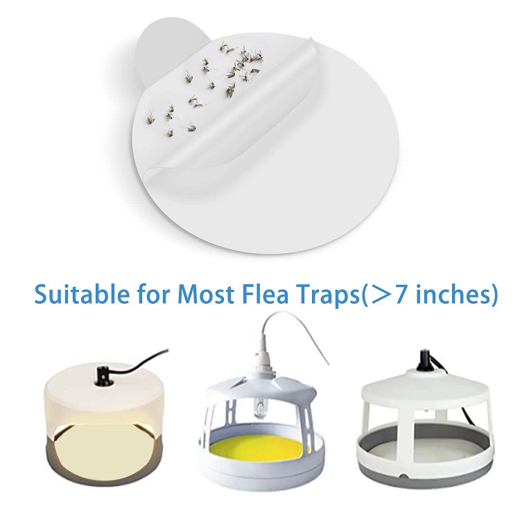 flea trap sticky pads application flea trap sticky pads application