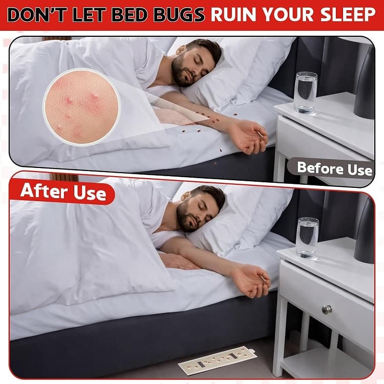bed bug sticky trap effect bed bug sticky trap effect