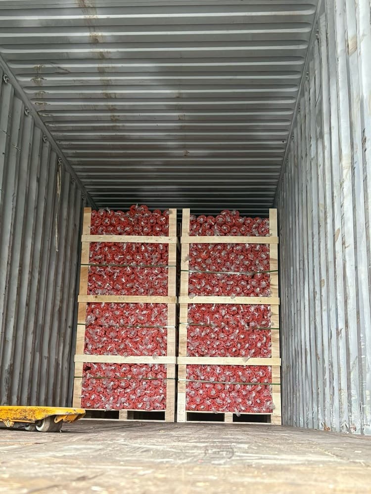 warning mesh loading