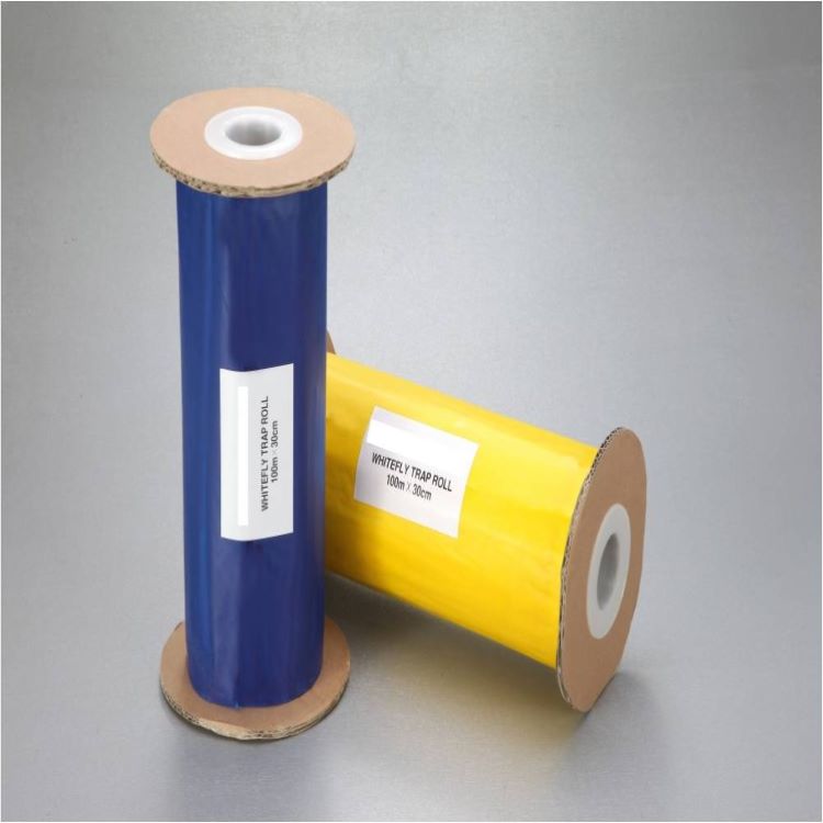 Why You Should Combine Yellow Sticky Tape Roll and Blue Sticky Tape Roll?